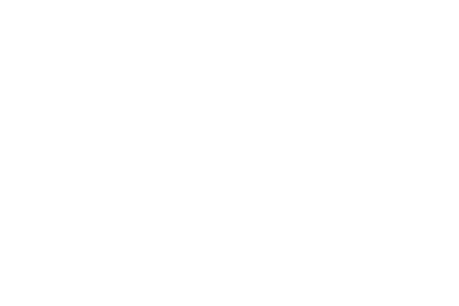 Little Tomato